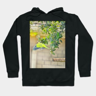 I'll Fly Away Hoodie